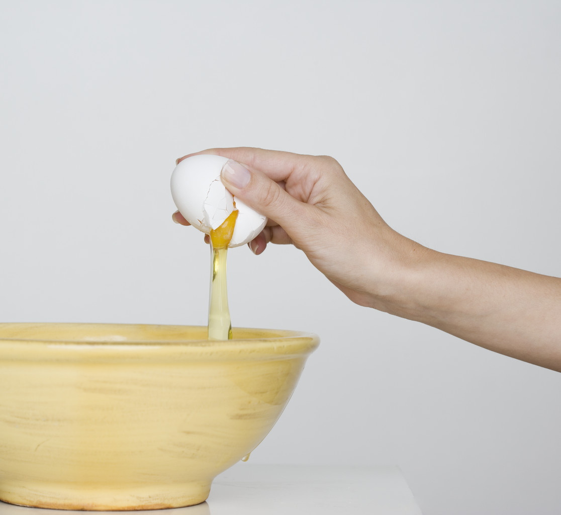 egg