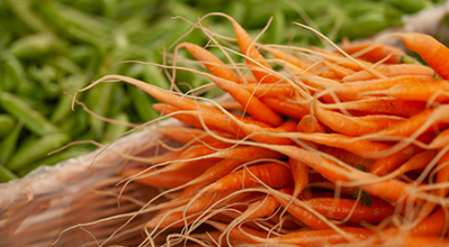 Carrots and peppers