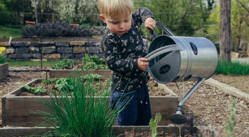 child watering a garden