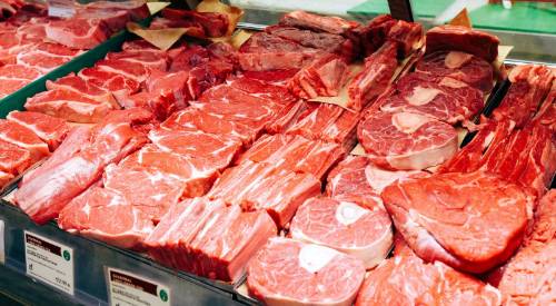 meat counter