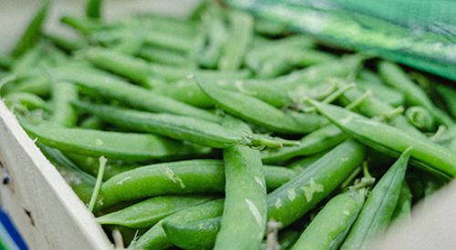 Basket of peas