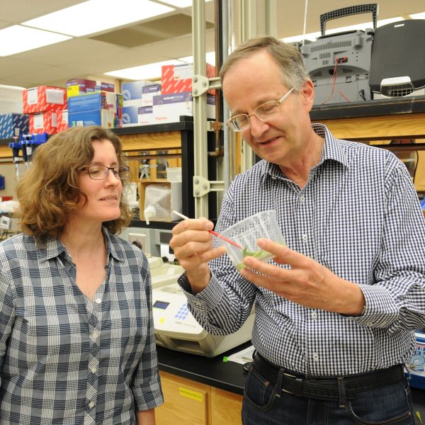 Entomology-Lab